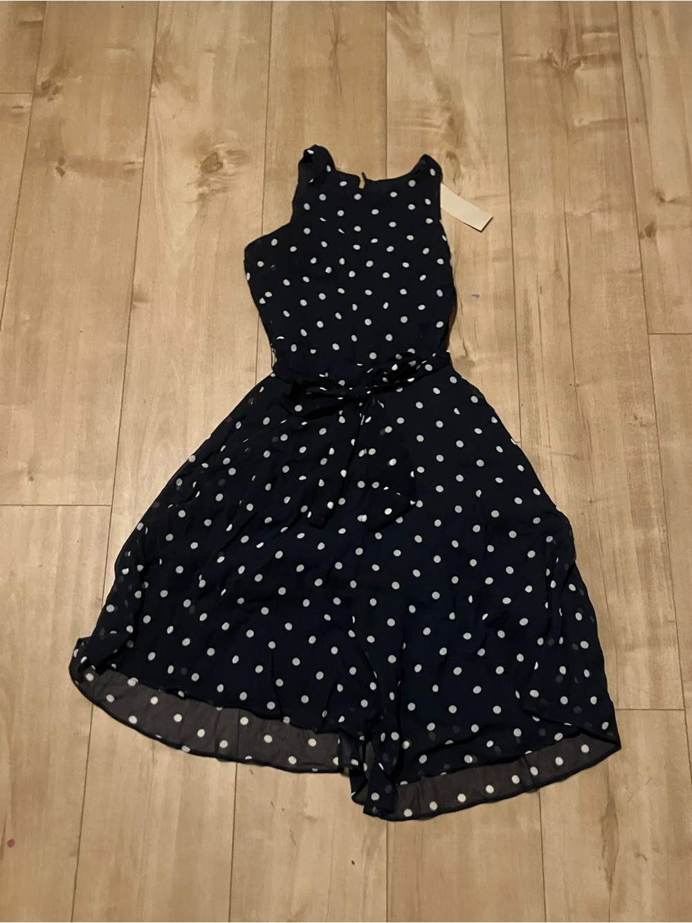 Banana Republic Navy Polka Dot Sleeveless Dress
